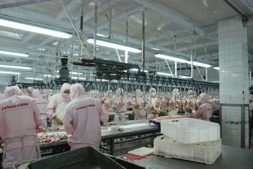 月薪近萬的工廠工作，為何搶不過日曬風(fēng)吹的外賣騎手？——從“基礎(chǔ)電信業(yè)務(wù)”角度透視職業(yè)選擇變遷